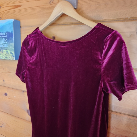 Agnes & Dora 💜 NWT Velvet Everyday Tee Shirt Deep Wine Red Velour Top Hi Low M - Picture 8 of 8